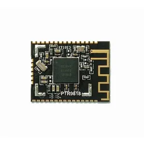 5 шт./лот nRF52840 маломощный беспроводной модуль BLE 5,0 MESH ANT 2,4G milti-protocol модуль PTR9818 XUNTONG - изображение