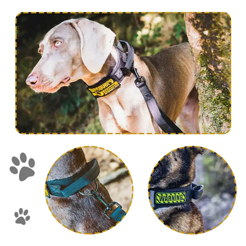 tactical dog collar patches