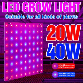 

BiaRiTi Growth LED Lamp 40W 20W LED Growing Light 220V Plant Lamp Full Spectrum LED Hydroponics Light 110V Greenhouse Lighting