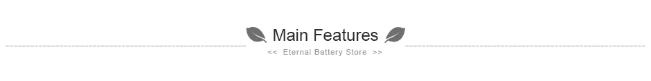 main features