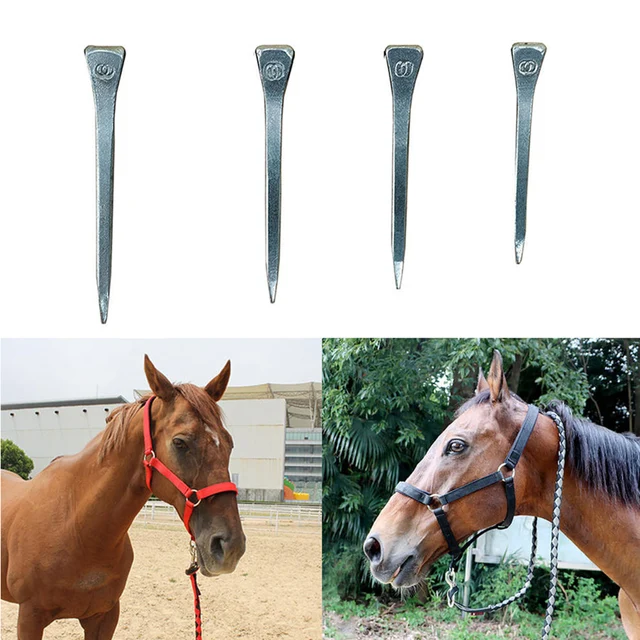 250Pcs Steel Horseshoe Nails E3/E4/E5/E6 High Quality Horse Shoe Nails Equestrian Sports Equipment Horse Training Supplies 6