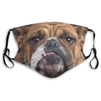 

Fillter Mask for Men Eagle Flag Reusable Windproof Mask Dustproof Ear Loops for Camping Double Protection