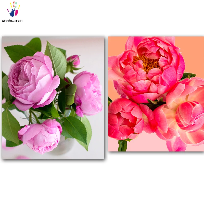 DIY colorings pictures by numbers with colors Beautiful rose picture drawing painting by numbers framed