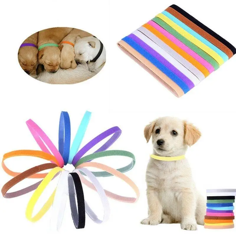 puppy identity collars