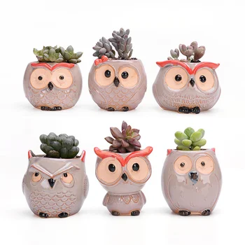 

Flowing Glaze Succulent Pots,Owl Planter/Mini Ceramic Pots,Small Flower/Plant/Cactus/Bonsai Container with Hole 6Pack