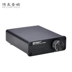 TPA3116 Mini Sound Mono subwoofer center power amplifier AV home theater sub / swf-out connected to subwoofer 2.1 / 5.1 / 7.1 TPA3116 Mini Sound Mono subwoofer center power amplifier AV home theater sub / swf-out connected to subwoofer 2.1 / 5.1 / 7.1
