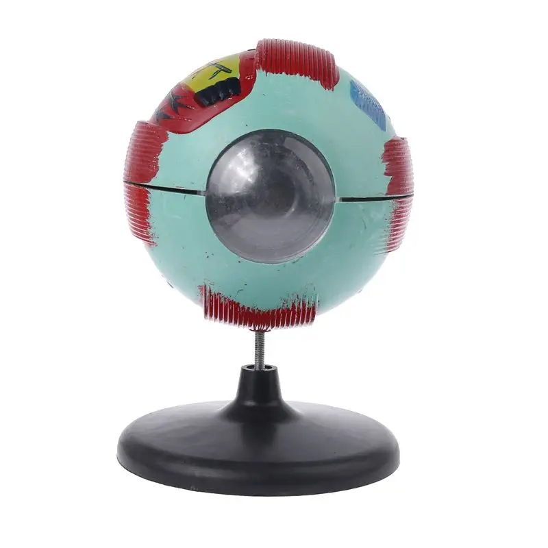 6x Removable Human Eye Eyeball Model Eyeball Internal Structure Learn Human Anatomical Model Lab Teaching Education