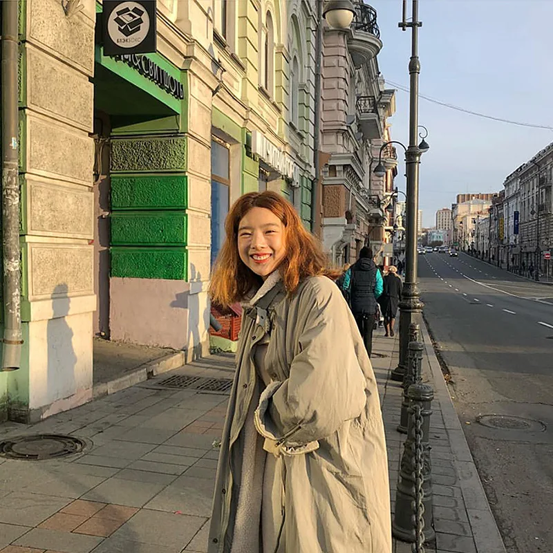 Осень и зима Южная Корея Dongdaemun женское платье длинное плотное хлопковое Стеганое пальто для женщин