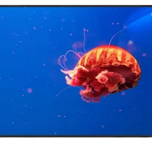 95 ''дюймовый 4K умный светодиодный wifi Телевизор с экраном системы Android