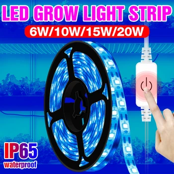 

USB Touch Switch Grow Light LED Full Spectrum Plant Seed Lamp Strip 0.5M 1M 2M 3M Greenhouse Phyto Lamp LED Seedling Fito Lights