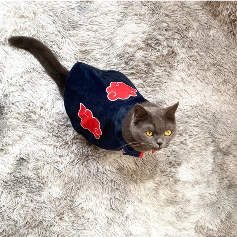 cat clothes aliexpress