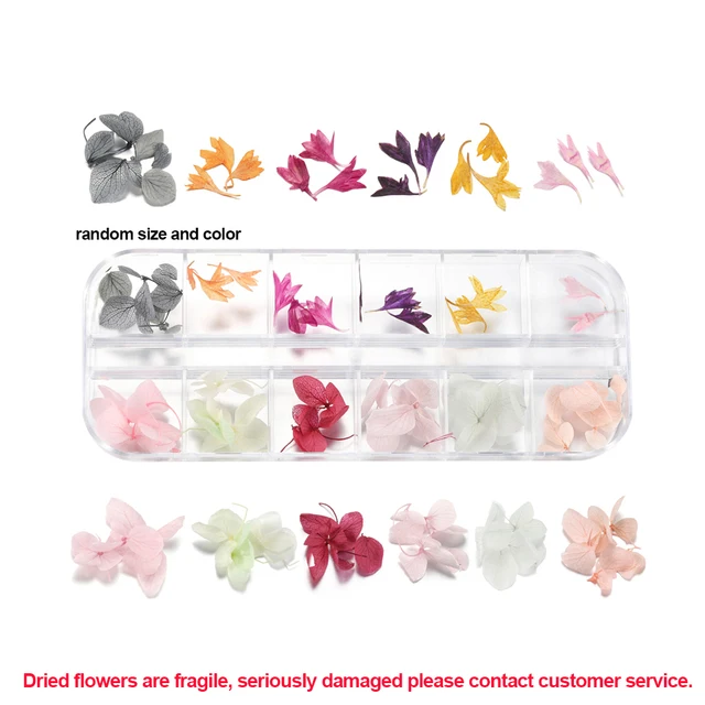 1Box Dried Flowers Dry Plants for Rsein Molds Fillings Epoxy Resin Pendant Tweezers Jewelry Making Craft DIY Nail Art Decoration Style26