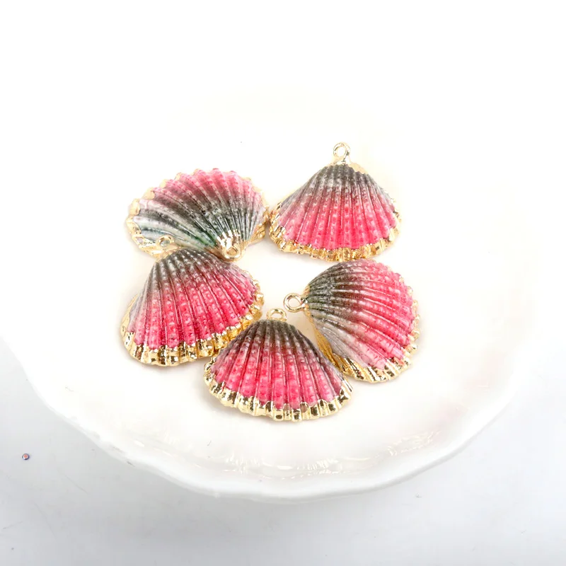 5 designs Gold plating DIY conch Colorful Natural Seashells Decorations Scallop conch Crafts Decor Ornament 5Pcs
