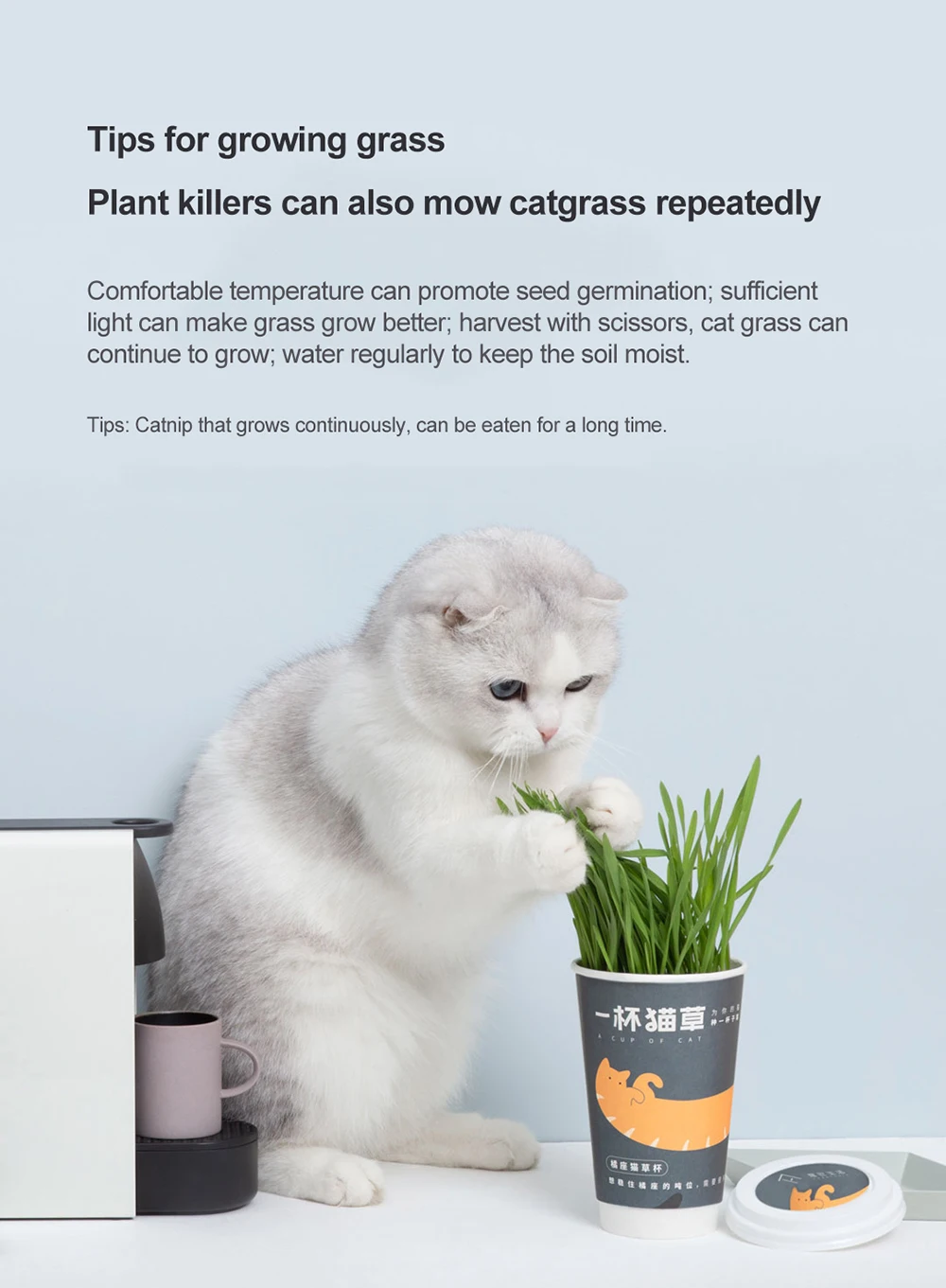 Xiaomi FURRYTAIL чашка кошачьей мяты используется для добавления кошачьей пищи для очистки кошачьих зубов, посаженных Кошачьей Мятой и предотвращения трёхобезоара домашних кошек