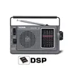 Tecsun R-304 R-304P Radio DSP Portable Radio Receiver FM Radio High Sensitivity Radio Desheng Drop Shipping ► Photo 3/6