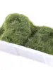8MM Static Grass Turf Miniature Flock Nylon Lawn Powder For HO N Building Landscape  Scene Model Railway Layout 30g 5