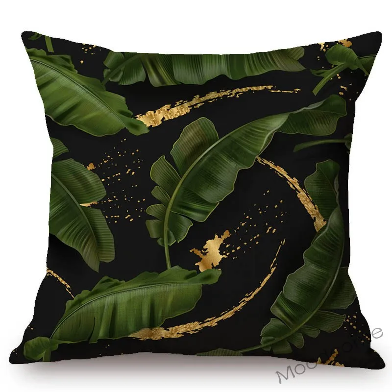 conew_n344 (4) 副本