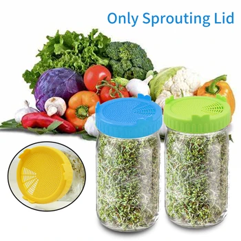 

Sprouting Lid Grow Safe Mesh Cover Home Bean Screen PP Vegetable Easy Clean Porous Design Drainage For Wide Mouth Mason Jar