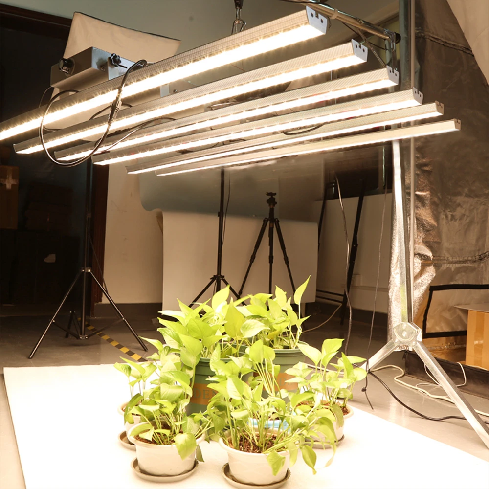 grow light store