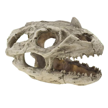 

Dropshiping Resin Dinosaur Tyrannosaurus Rex Skull Model