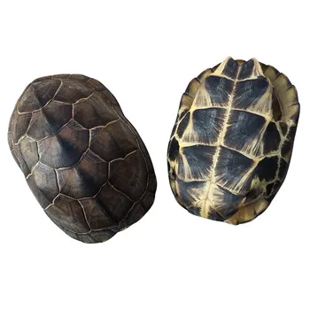 

Natural Turtle Shell Decoration Pendant Specimen Home Decor Lucky Town House Evil Spirit Fengshui Tortoiseshell A1814