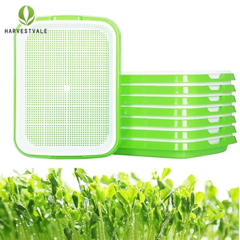 

hydroponic systems double-layer sprouts hydroponic container seed germination vegetables soilless cultivation seedling pot