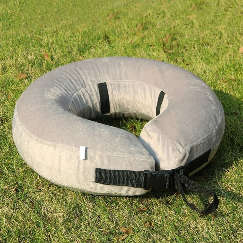 Cat Recovery Collars & Cones (3)