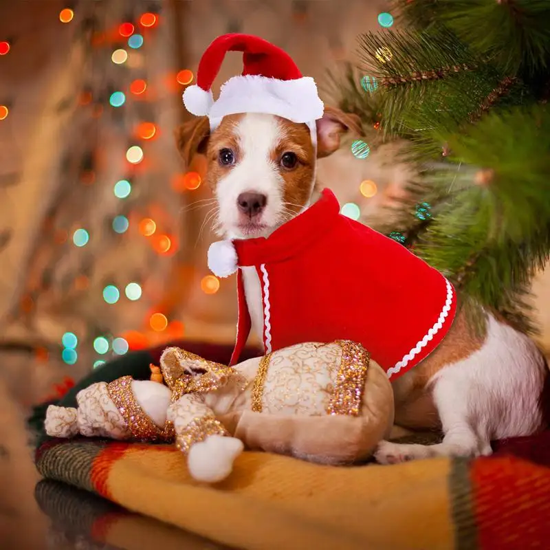 BMBY-Pet Adjustable Christmas Santa Hat, Coat, Scarf And Collar Bow Tie Christmas Costume For Puppy Kitten Small Cats Dogs Pets