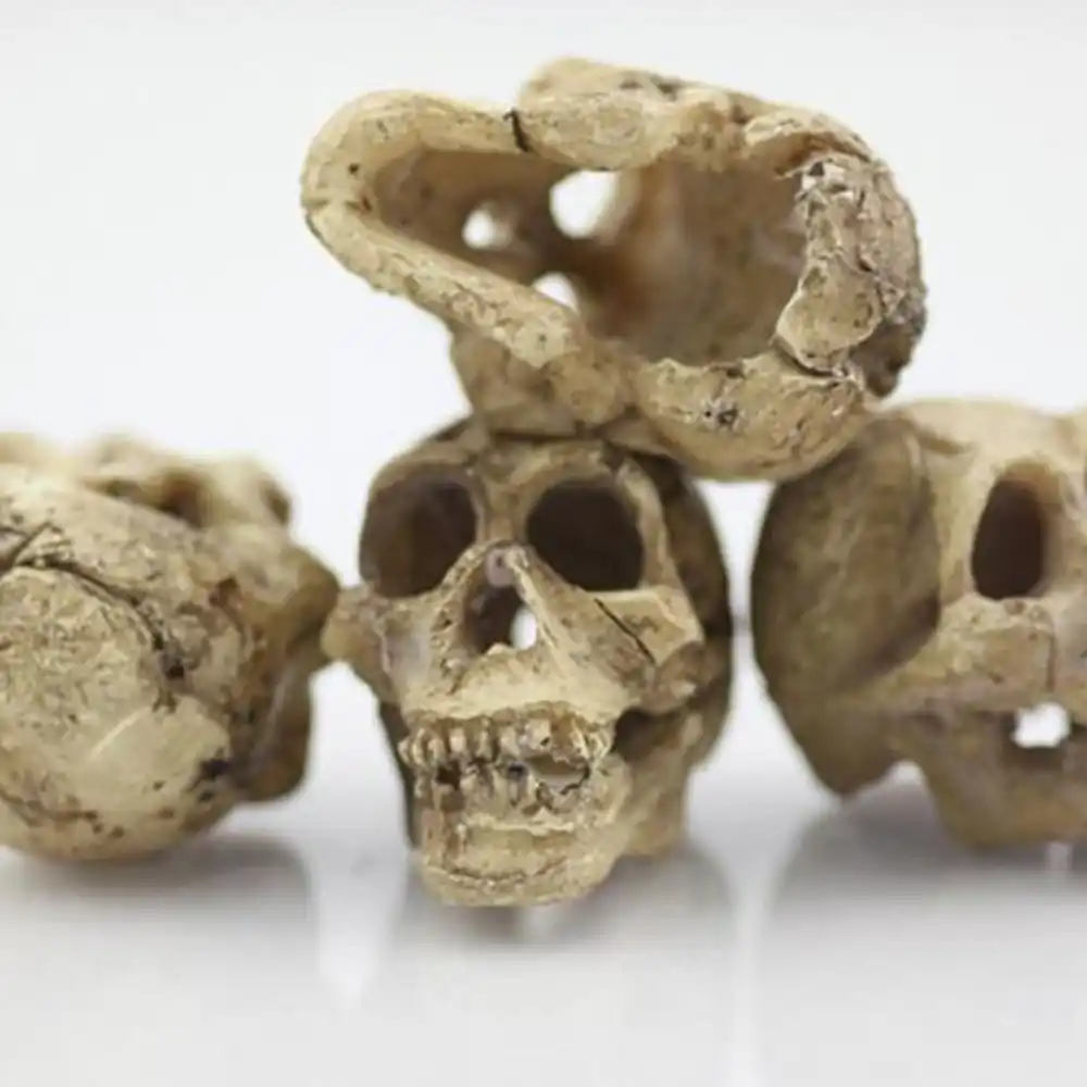 2018 new arrival halloween aquarium decorative resin