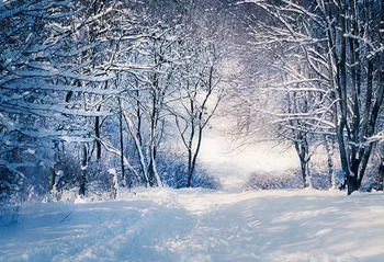 

Merry Christmas backgrounds photography vinyl fotografia Winter snow forest fairy photo backdrops for photo studio props lv-2087