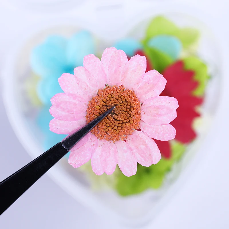 1 коробка консервированный свежий цветок красочные ногти сушеный цветок 3D дизайн ногтей Дизайн Лак аксессуары для маникюра