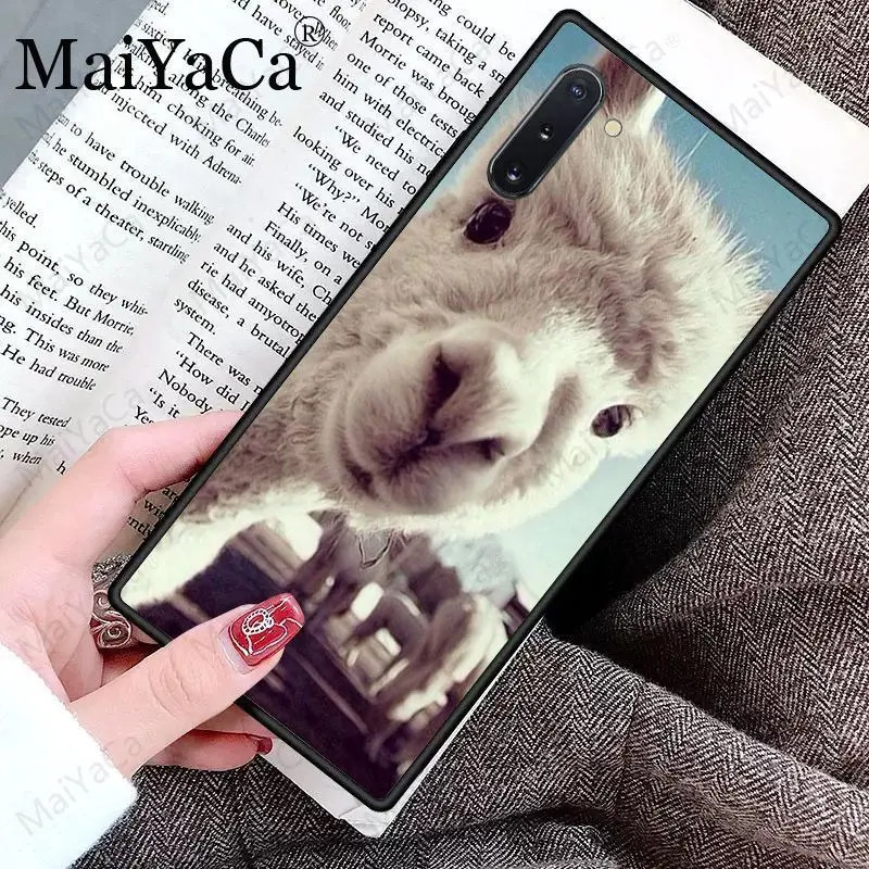 Cute Goat Meme Alpaca