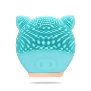 

Electric Face Brushes Waterproof Facial Cleansing Brush Anti-Aging Facial Massager With Dry battery Silicone Face Clean Skin Car