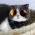Прекрасный Многоцветный Pet Cat Очки Продукты для Маленькой Собаки Кошки Прохладный Глаз Носить Фотографии Реквизит Аксессуары Зоотовары Игрушка