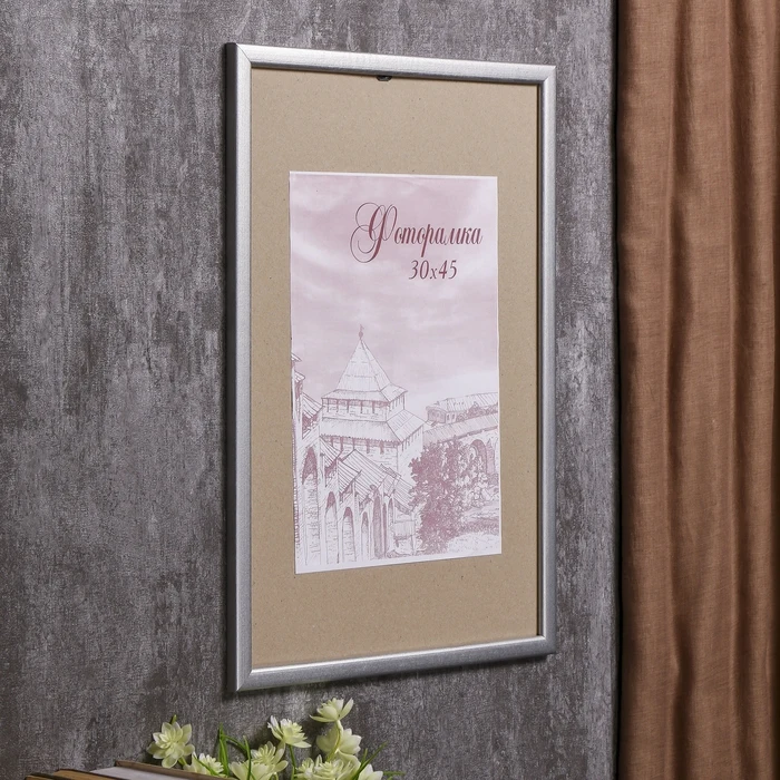 Cadre Photo pin c19 30x45 cm (argent) 4336834 décor à la maison ► Photo 2/4