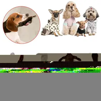 

For Dog Toy Play Funny Pet Puppy Chew Squeaker Squeaky Toys Plush Sound New S3O3