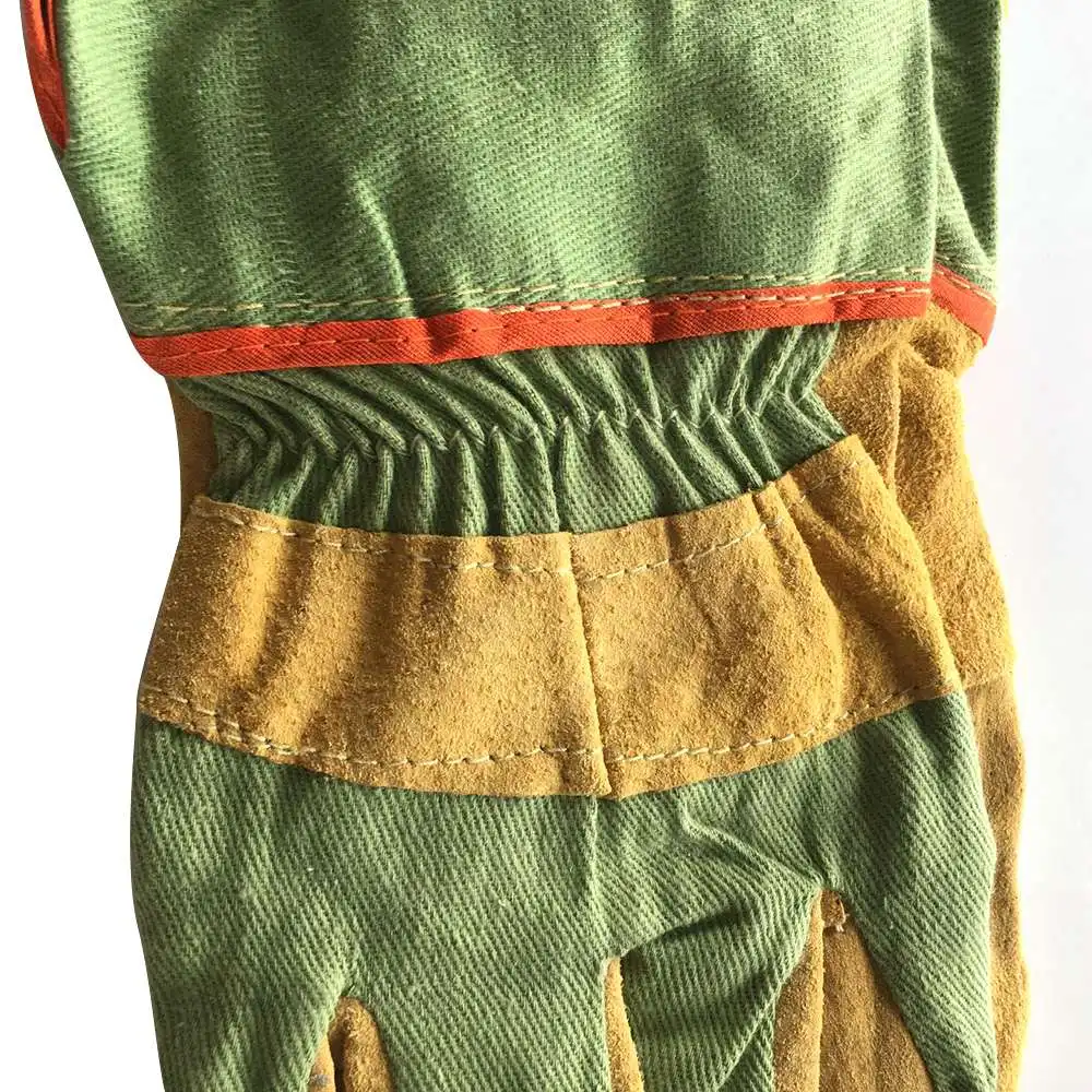 11016199495_1167062125