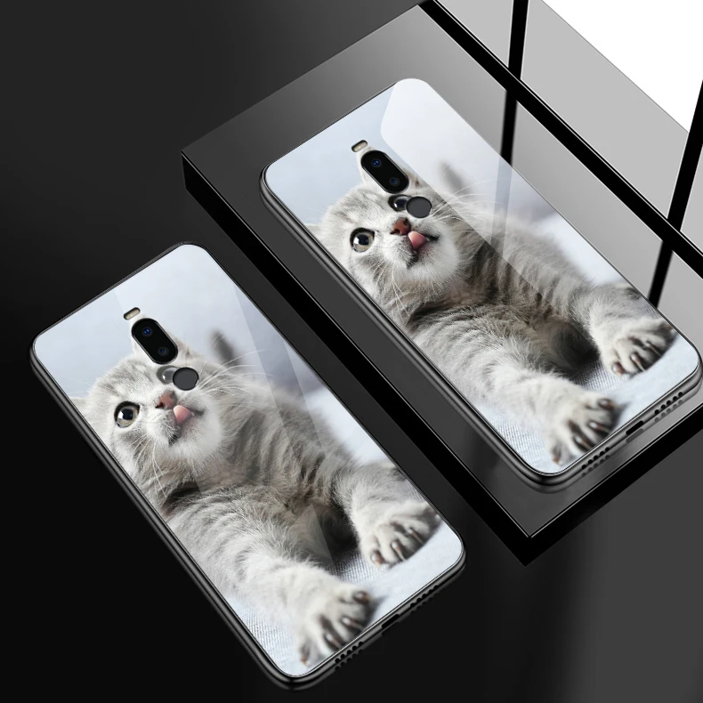 H134 Для iPhone 5S, se, 6, 6 S, 7, 8 Plus XR XS MAX роскошный закаленное Стекло чехол для Meizu M5 M6 M8 M9 Примечание 16th плюс противоударный жесткий чехол - Цвет: H134