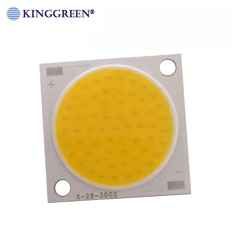 

10X High Power LED COB Bulb Chip 20W 30W 50W Warm white Natural White Cold White For Indoor Or Outdoor LED Light