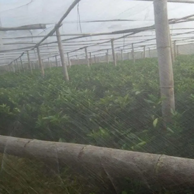 Kerti Növényi Gyümölcsvédő Légy Rovarriasztó Háló Kertészeti Borító (Fehér) - Image 4