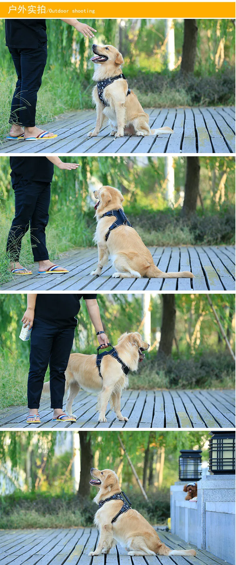 4684329102_936468010 (1)