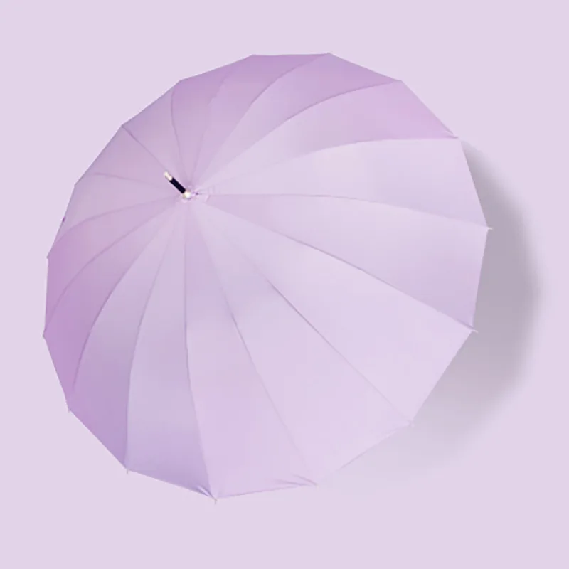 Curved Purple Женский Ветрозащитный Зонт от дождя женский зонтик с длинной ручкой двойной складной зонтик De Mujer зазор 50RR069 - Цвет: Curved Purple