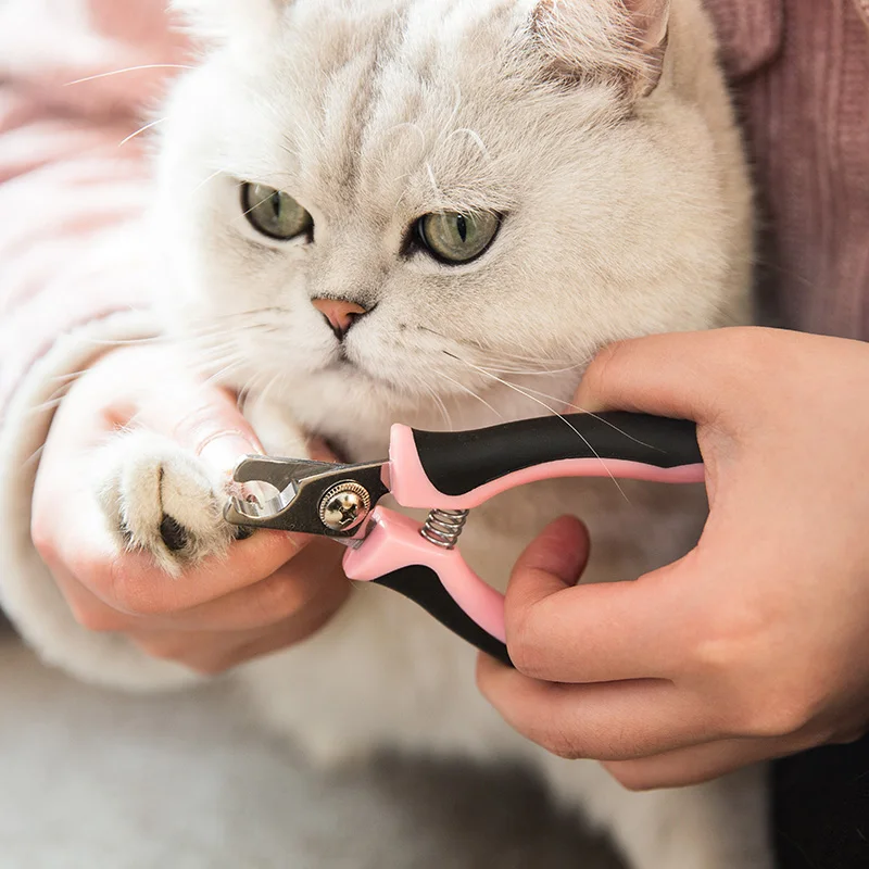 Hipidog щенок собачья из нержавеющей стали Pet кусачки для ногтей уход за пальцами товары для домашних животных для кошек