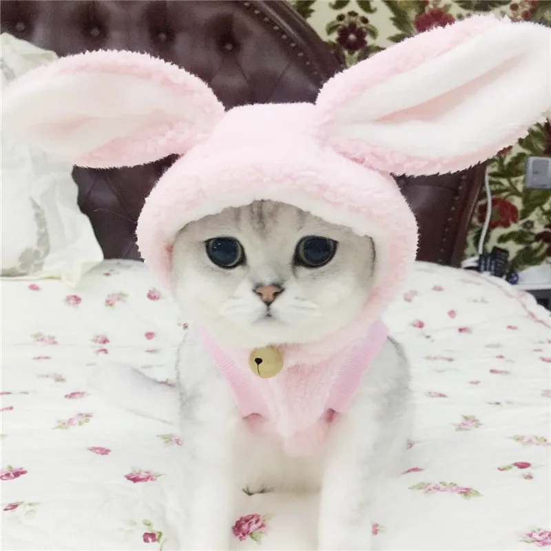 Одежда для домашних животных, зимняя куртка для собак, милая Одежда для собак, одежда для кошек, чихуахуа, Йоркцев, померанский шнауцер, мопс, костюмы