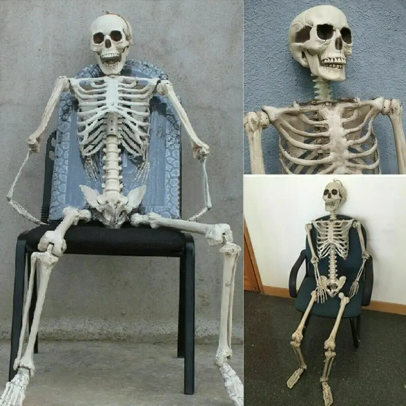 Новое поступление скелета Хэллоуин/Lehrmodell Anatomie/Bewegliches Menschliches скелета 40 см