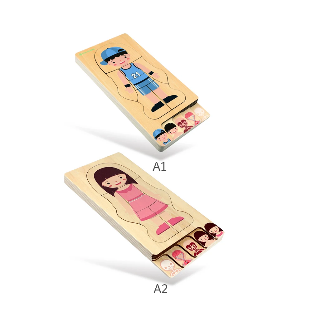 

Early Educational Children Toys Wooden Human Body Puzzle Boys Girls Body Structure Children Puzzles Kids Toys