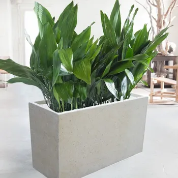 

Concrete Flower Pot (40*100*60 cm) seperator Series All color 1st Class Material to Resıstant Cracking and Breakage