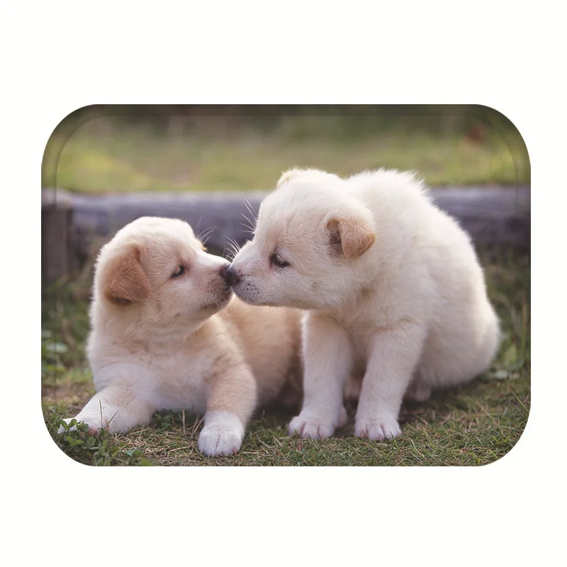 Nordic Style Floor Mat Indoor Entrance Doormat Flannel Anti-slip Kitchen Balcony Shoebox Rug Cartoon Dog Bathroom Bath | Дом и сад