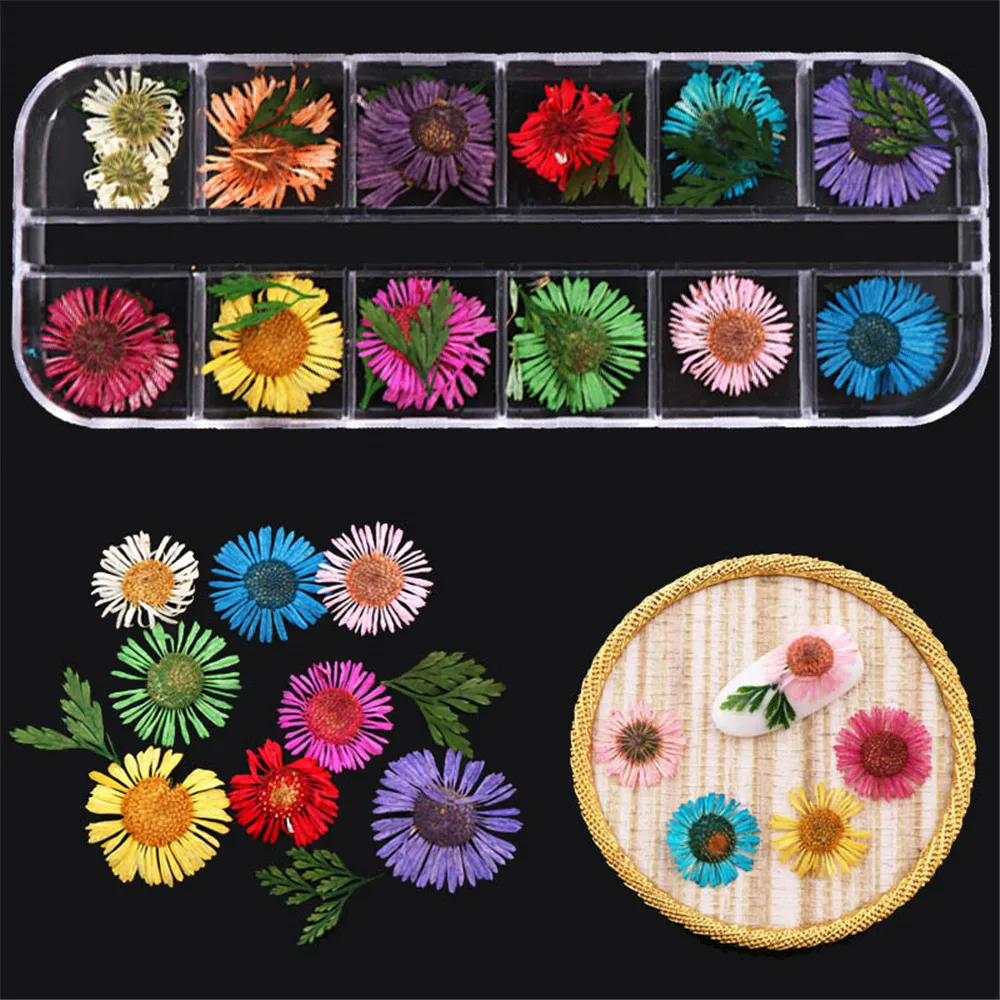

1Box 3D Dry Flowers Nail Art Decoration Charm Natural Daisy Floral Leaves DIY Stickers Manicure Accessories 12 Designs