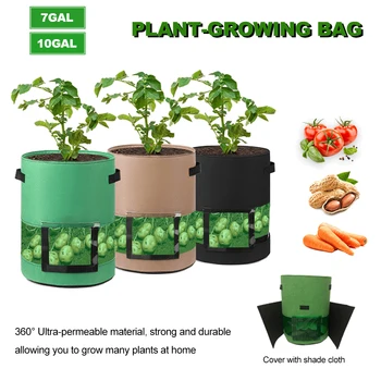 

Plant Planting Bag Potato and Tomato Covered Middle Transparent Potato Planting Bag